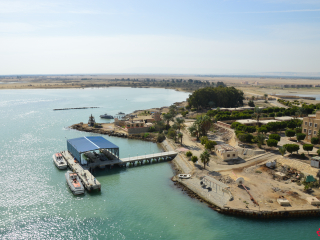 11.08 AM | Suez Canal