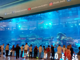 02.56 PM | Dubai Mall